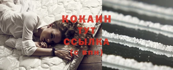амф Богданович