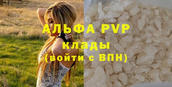 амф Богданович