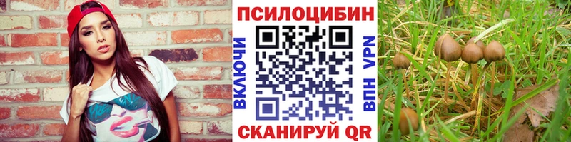 как найти закладки  Невельск  Галлюциногенные грибы Cubensis 